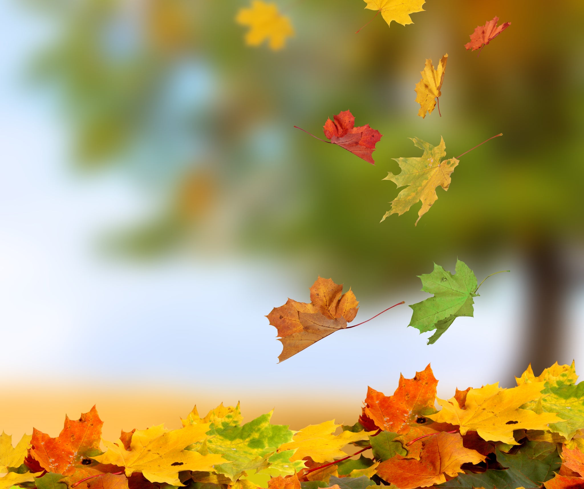 Autumn. Ways to recharge after summer
