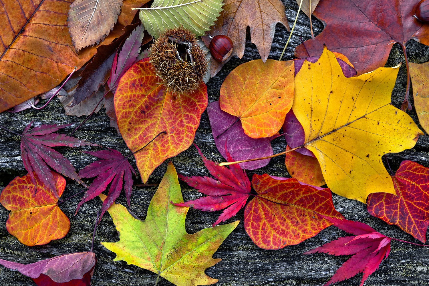 Tips for Dressing Your Baby in Autumn/Winter