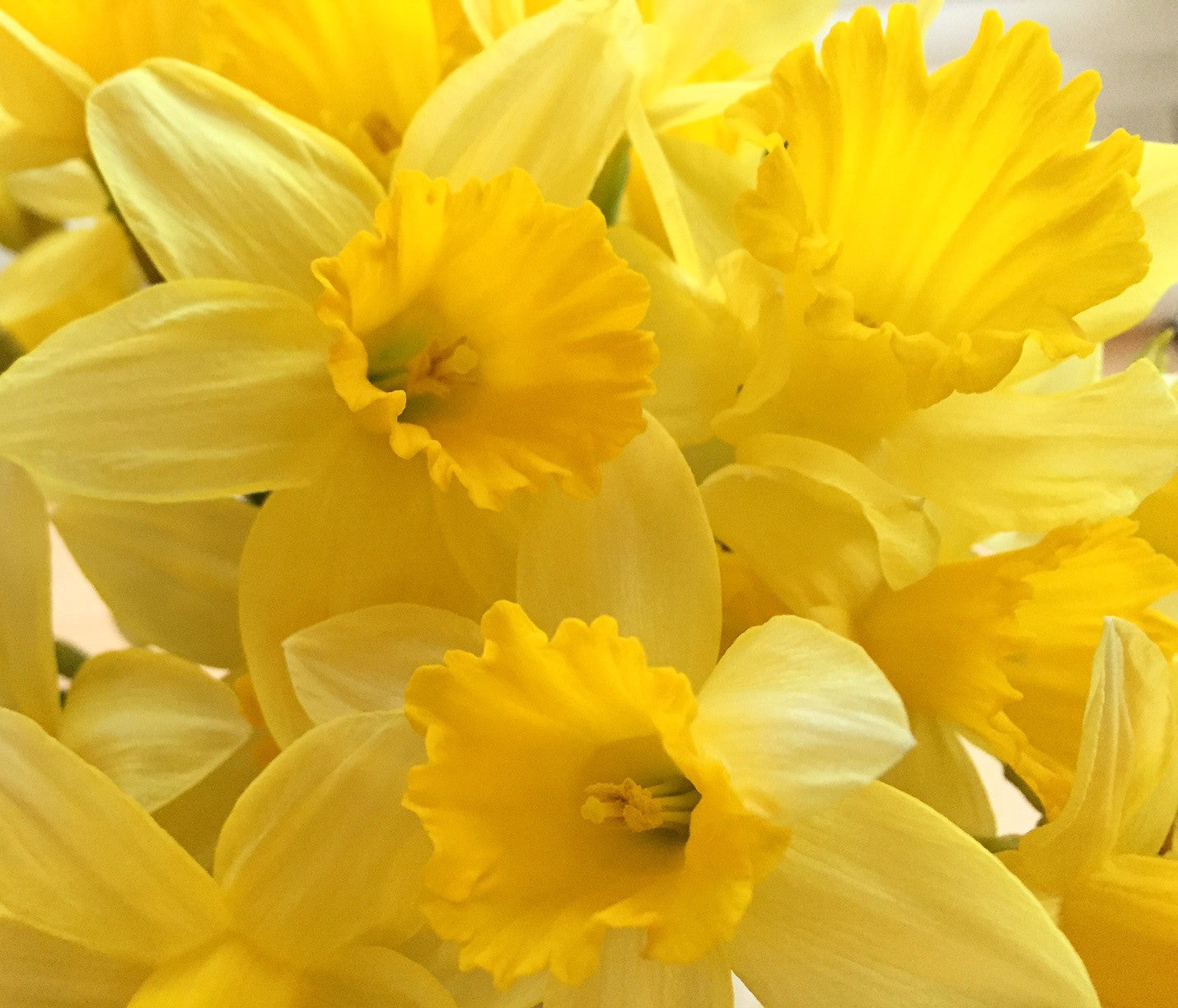 5 Top Tips for Dressing Newborn Babies in Spring